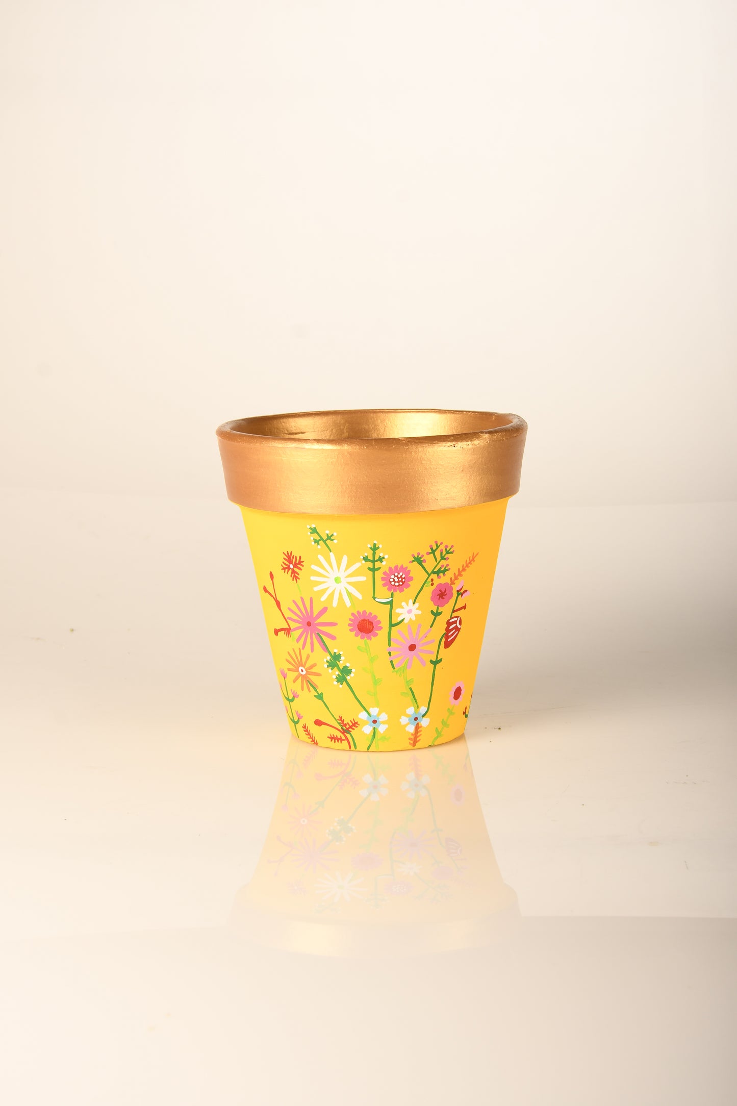 Macetas pintadas a mano